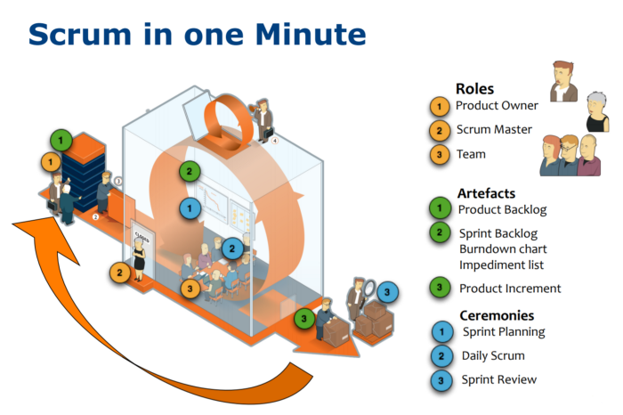 Agile Scrum Role